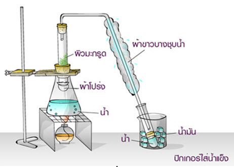 การ แยก เกลือ ออก จาก น้ํา ทะเล